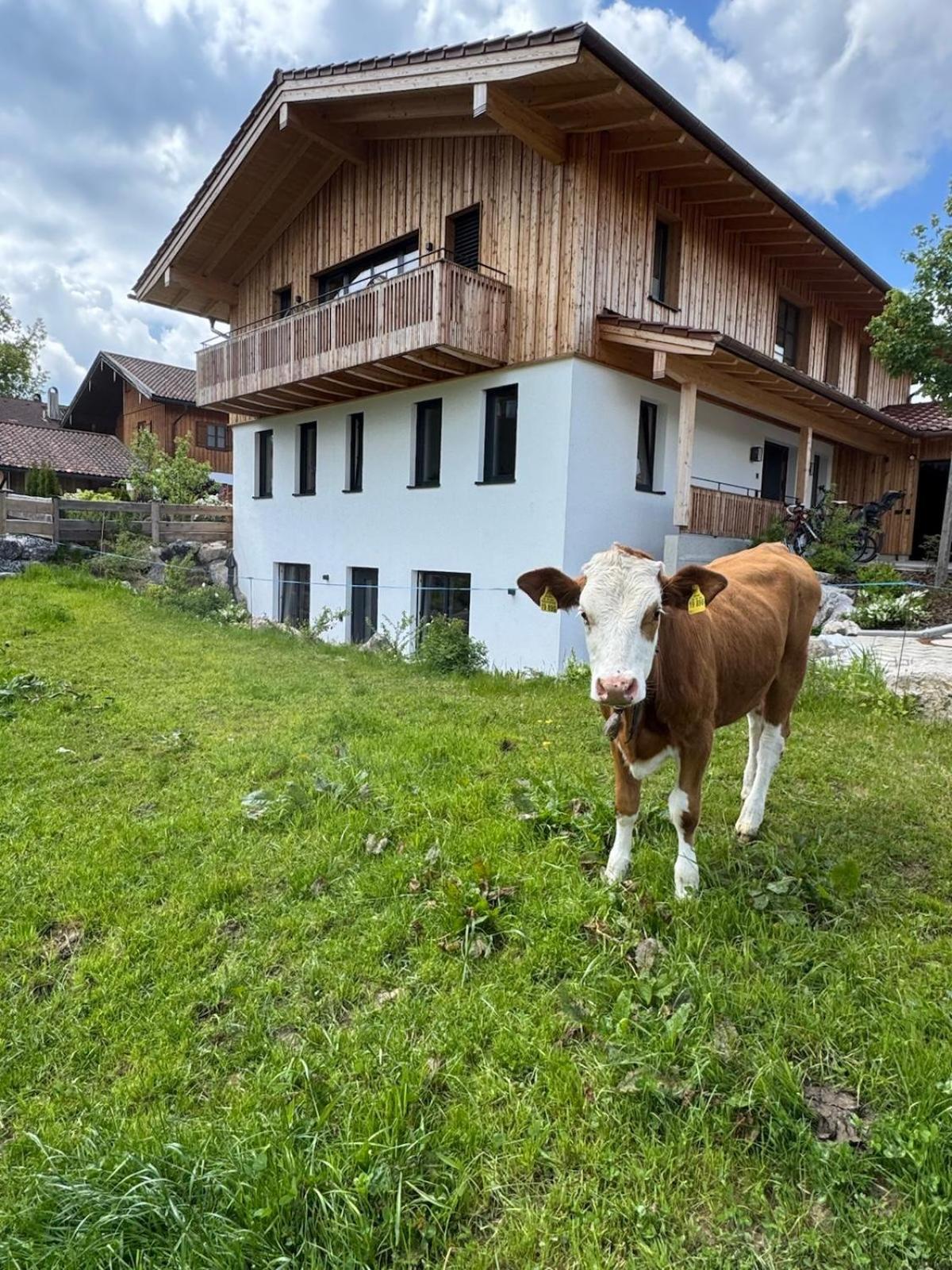 Ferienwohnung Gschwendt Miesbach Ngoại thất bức ảnh